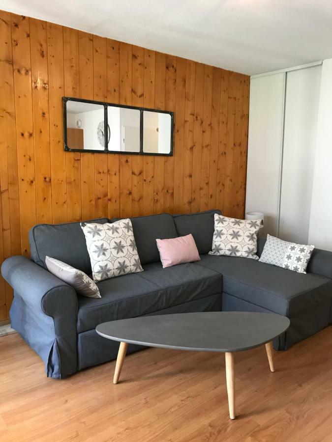 Appartement Tt Confort Au Coeur Des Montagnes Avec Vue Sur Les Montagnes Wifi Лю-Сен-Совер Екстер'єр фото