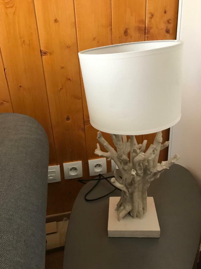 Appartement Tt Confort Au Coeur Des Montagnes Avec Vue Sur Les Montagnes Wifi Лю-Сен-Совер Екстер'єр фото